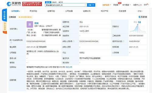 信息系统集成服务 企业数字化转型的核心引擎